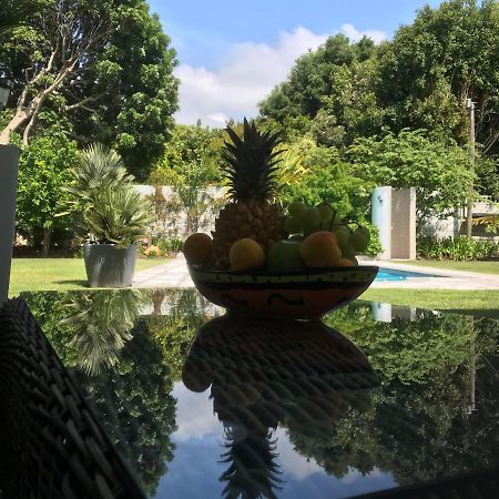 Grenadilla (Adults Only) Apartment Constantia Luaran gambar