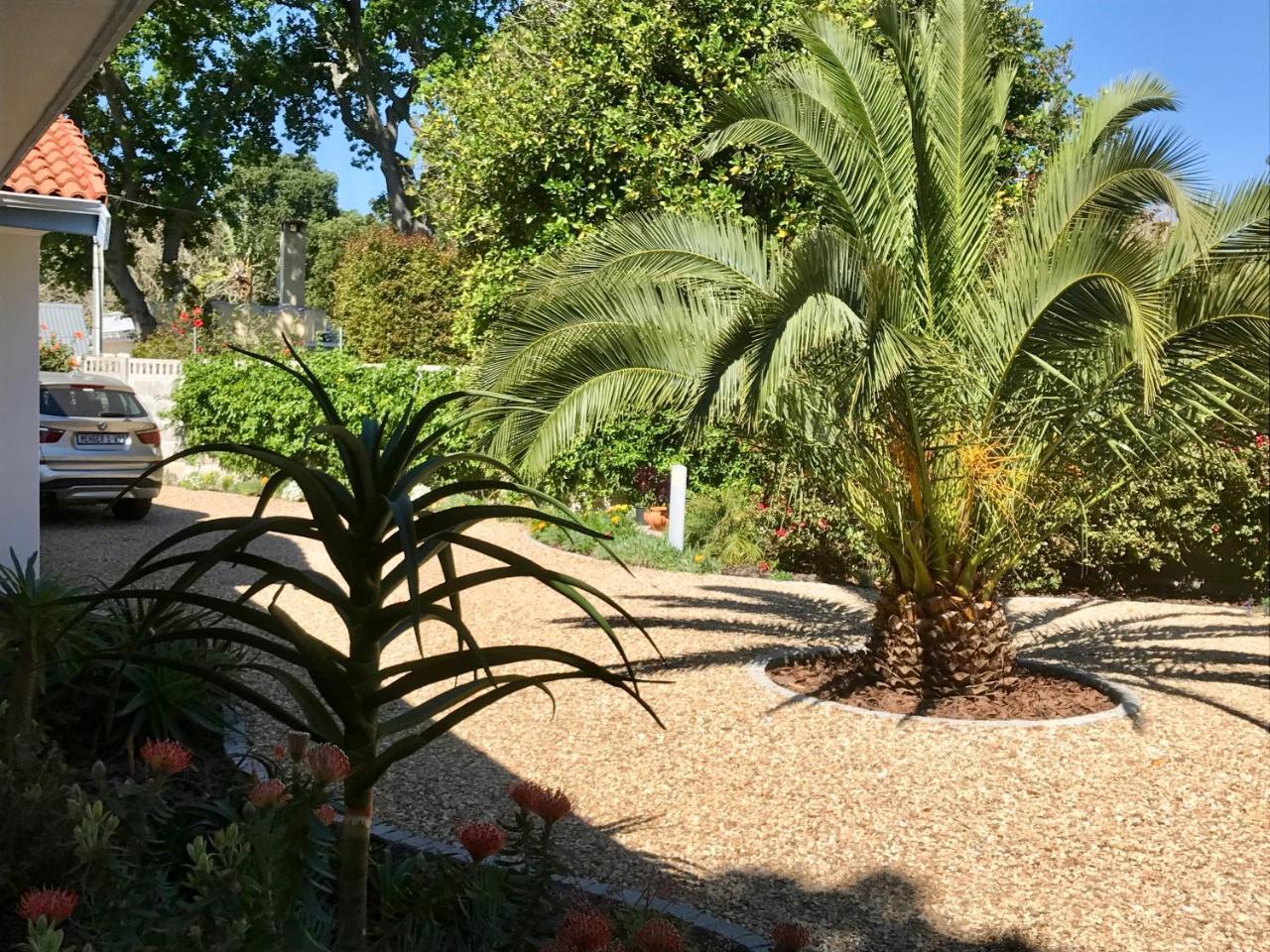 Grenadilla (Adults Only) Apartment Constantia Luaran gambar