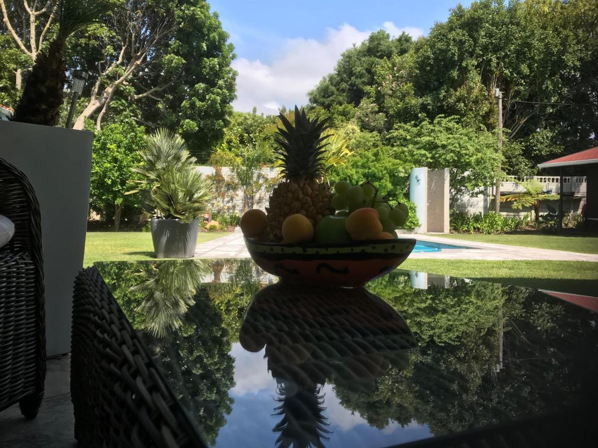 Grenadilla (Adults Only) Apartment Constantia Luaran gambar
